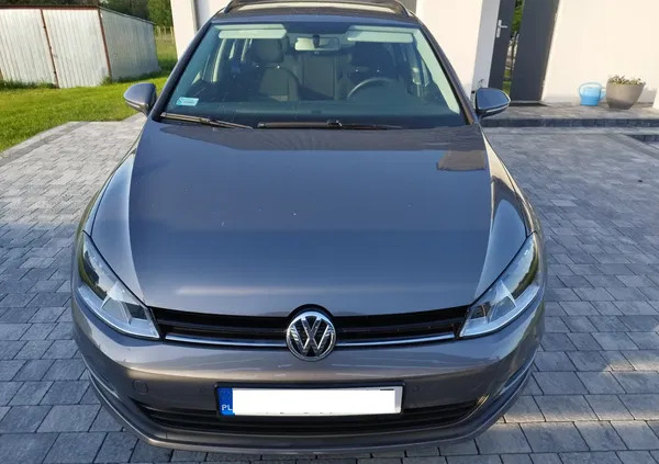 tarnobrzeg Volkswagen Golf cena 32900 przebieg: 205000, rok produkcji 2013 z Tarnobrzeg